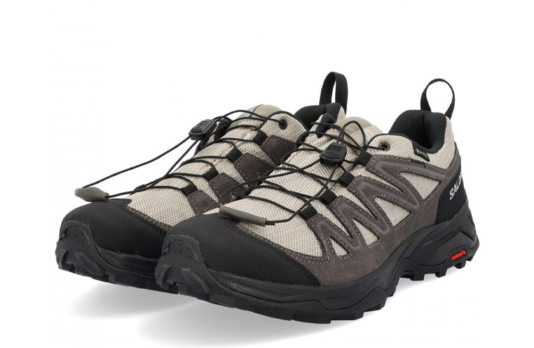 Scarpe-da-montagna-Salomon-X-Ward-Leather-GTX.jpg